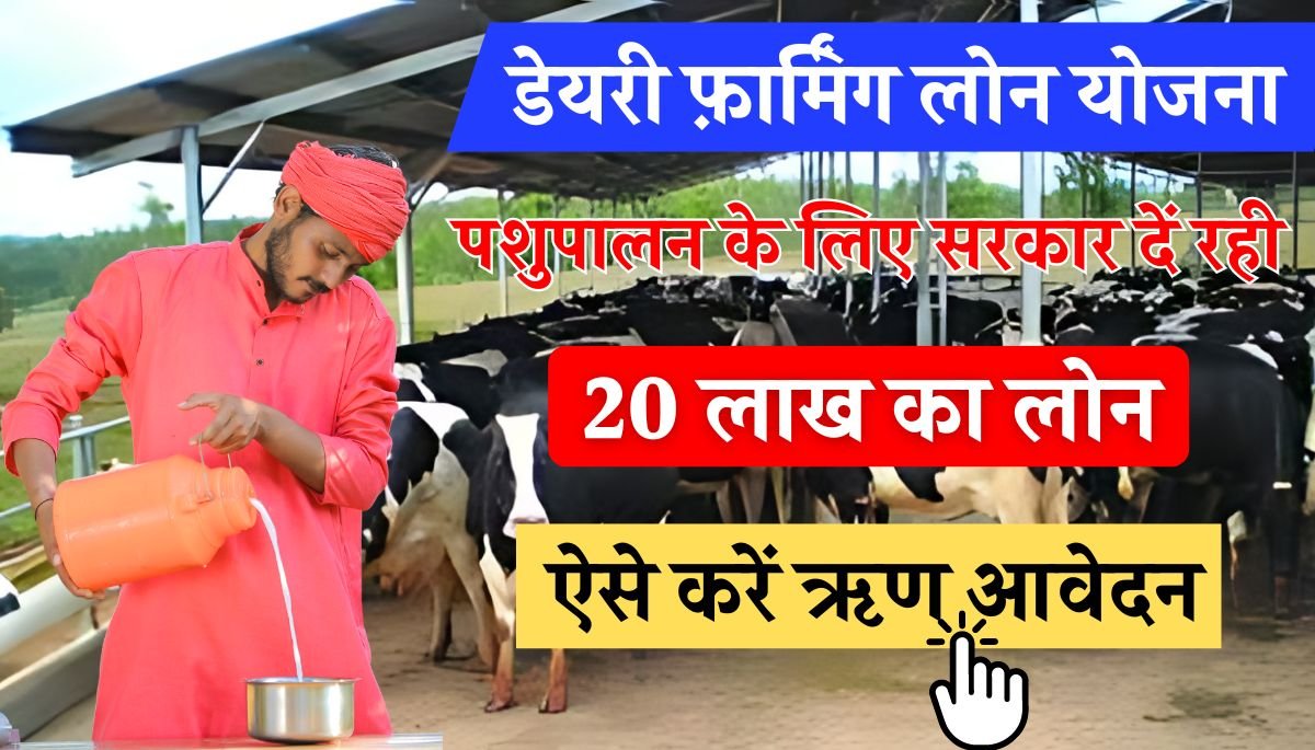 Dairy Farming Loan